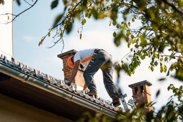 Best Green or Eco-Friendly Roofing Solutions  in Ordway, CO