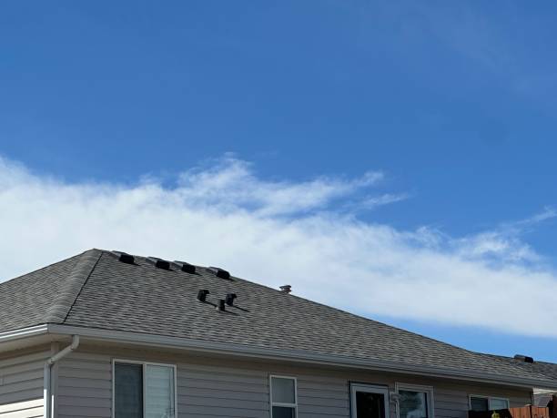 Best Metal Roofing Installation  in Ordway, CO